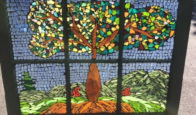 For the Love of a&nbsp;Tree