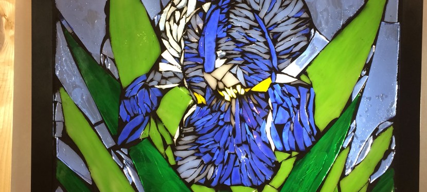 An Iris a day, keeps the blues&nbsp;away!